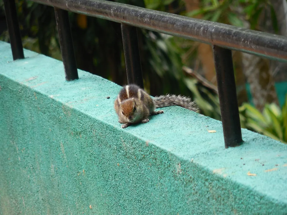Le Leopard D 'Argent Hotel Kandy