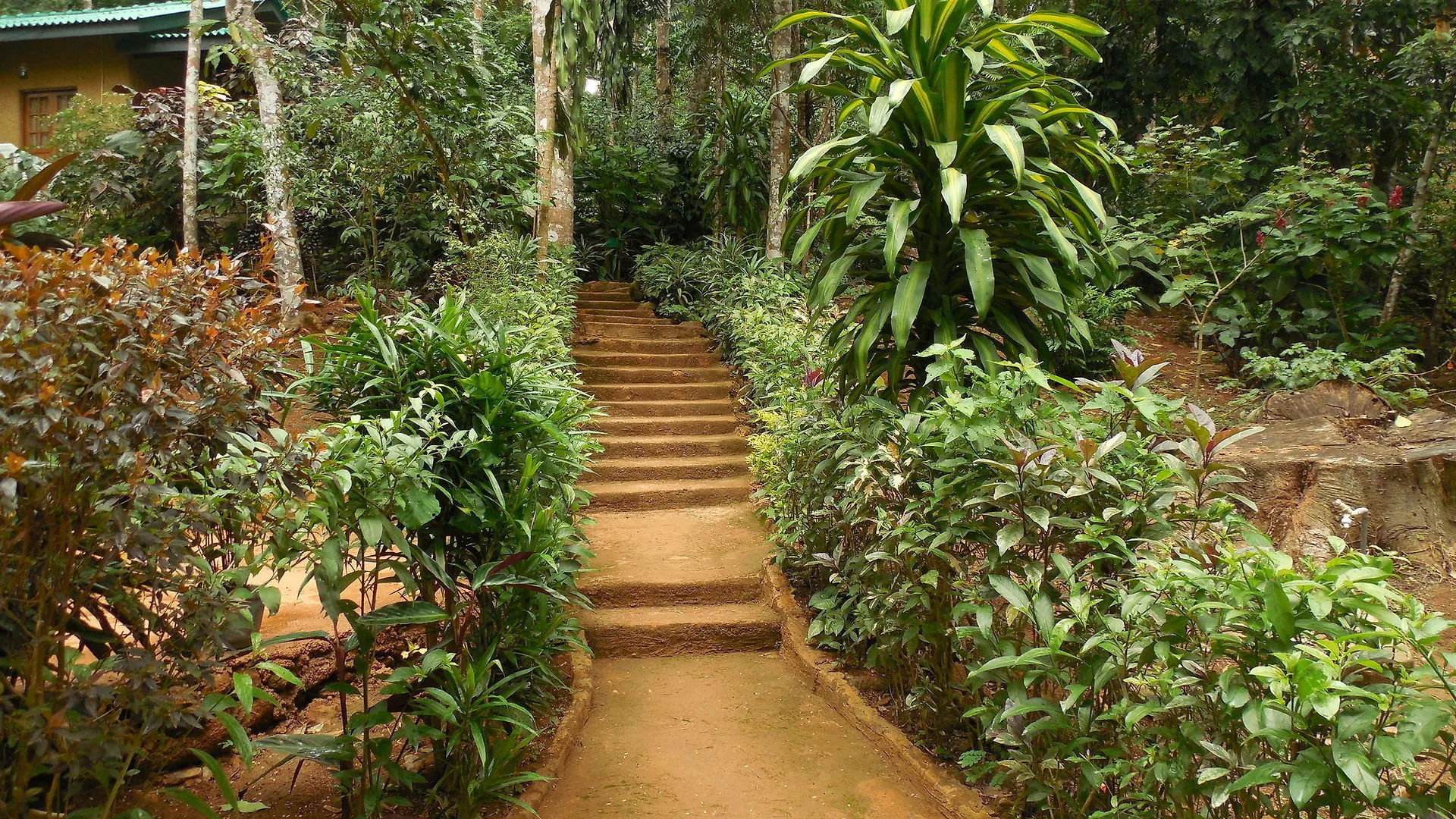 Le Leopard D 'Argent Hotel Kandy