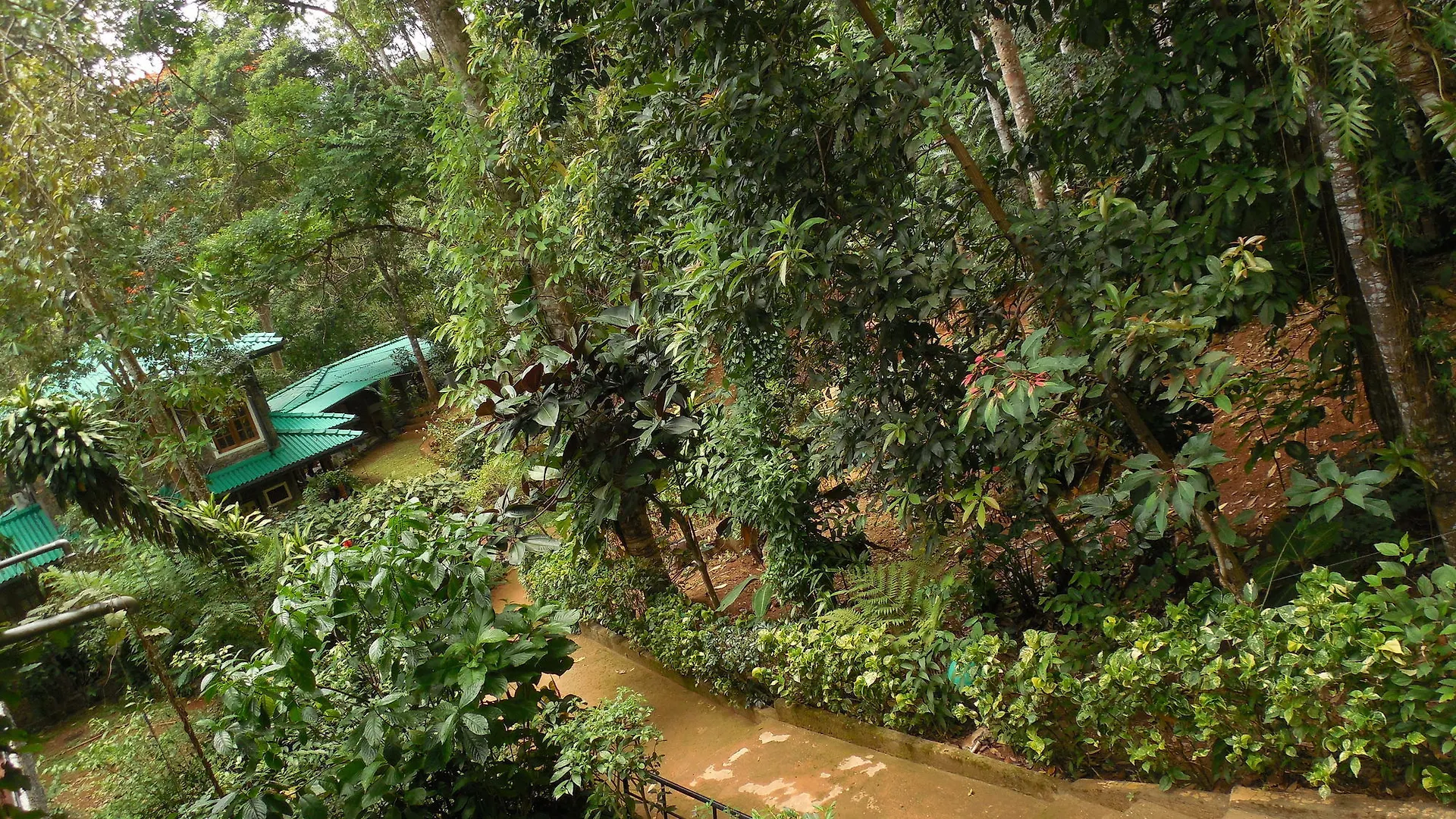 Le Leopard D 'Argent Hotel Kandy