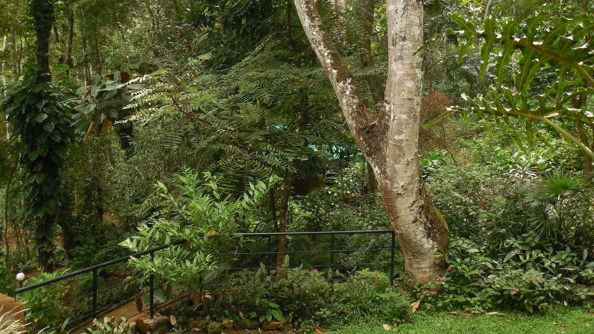 ****  Le Leopard D 'Argent Hotel Kandy Sri Lanka