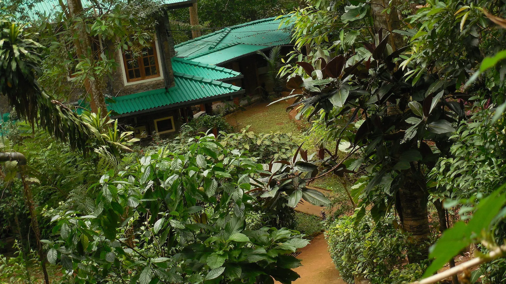 Le Leopard D 'Argent Hotel Kandy 4*,